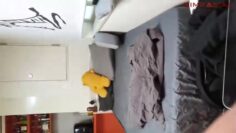 @viral_tiktok_bot-211212 (4).mp4_snapshot_01.20_[2021.12.04_02.38.52]
