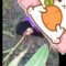 Tercyduck di kebon